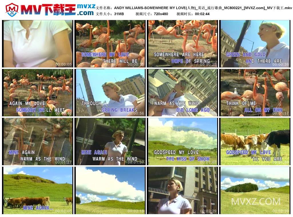 ANDY WILLIAMS-SOMEWHERE MY LOVE(人物)_英语_流行歌曲_MC800221